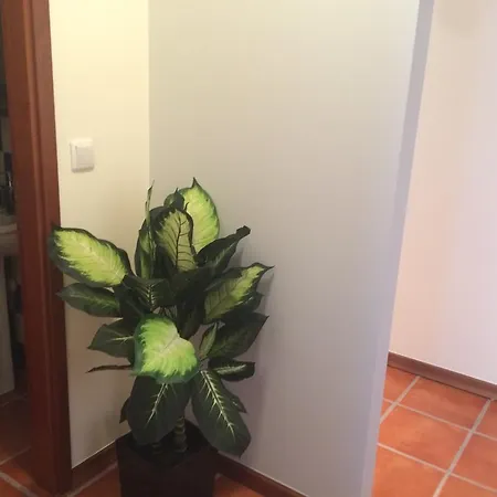 Apartamento Praia Vagueira